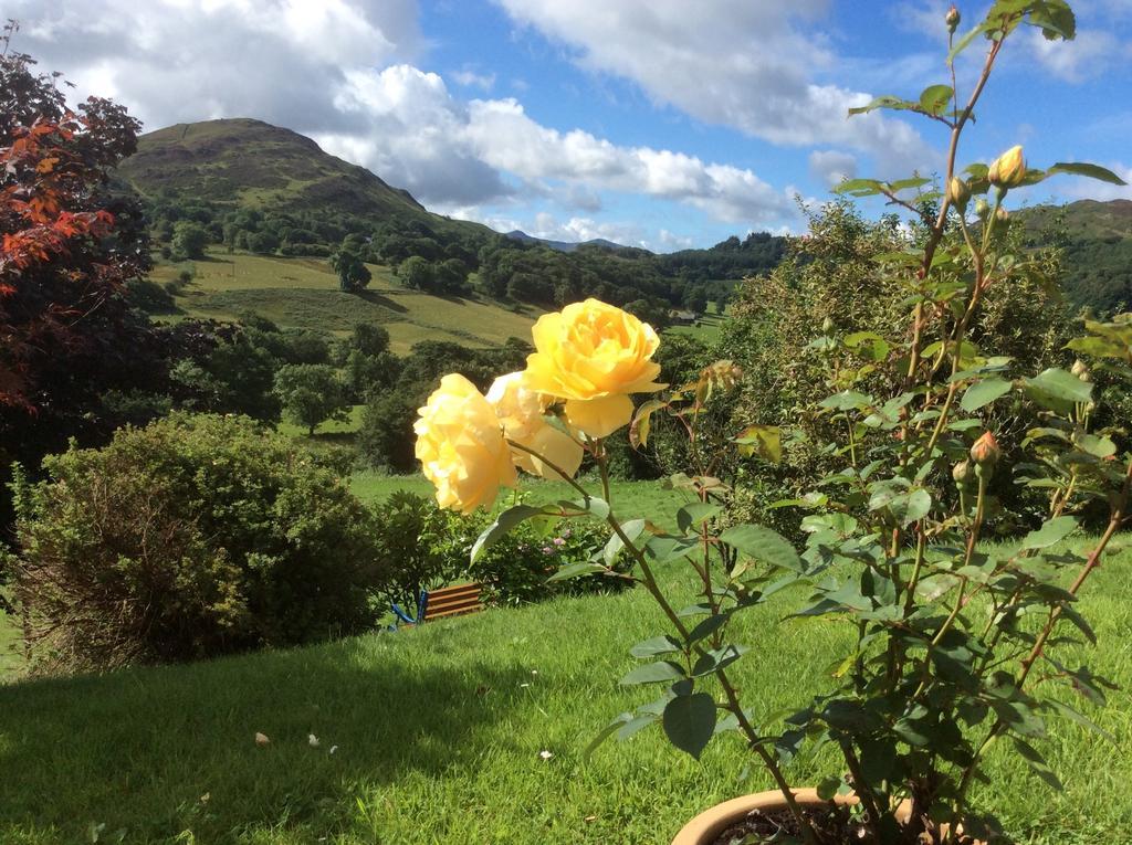 Heulwen Guest House Dolgellau Exterior foto