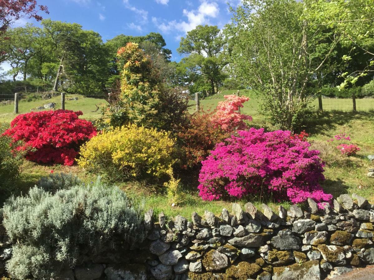 Heulwen Guest House Dolgellau Exterior foto
